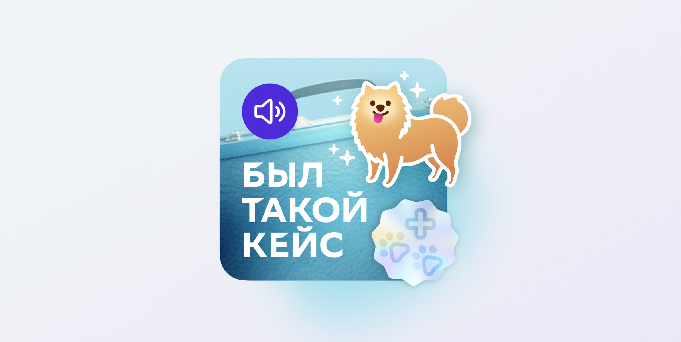 Милый малый бизнес: как заработать на заботе о питомцах