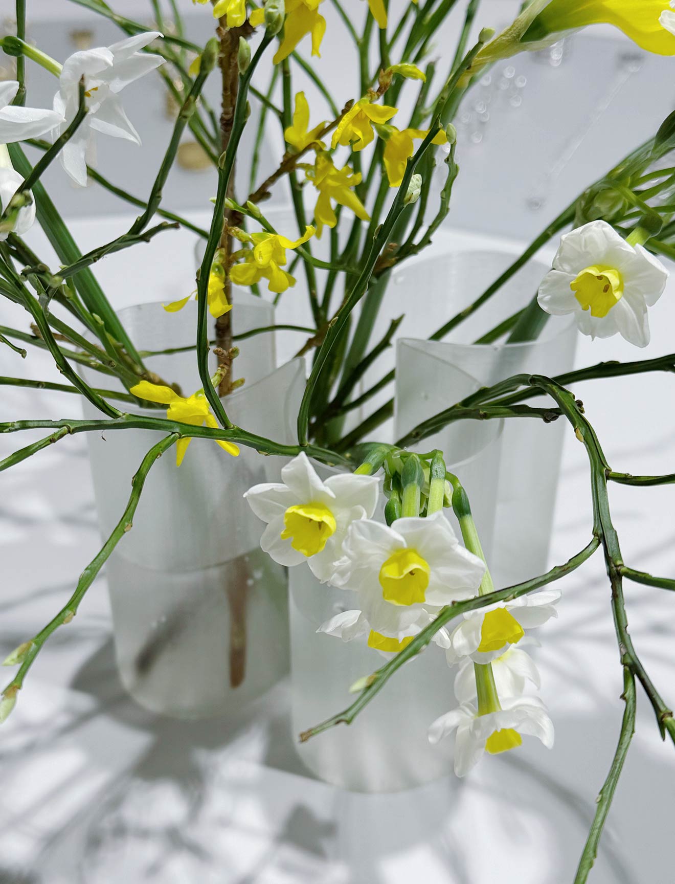 07-1320-1728@ColumnLarge