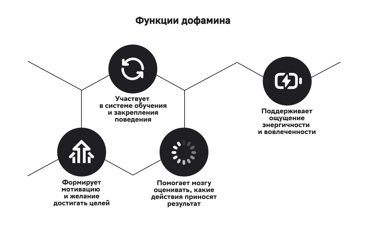 Функции дофамина