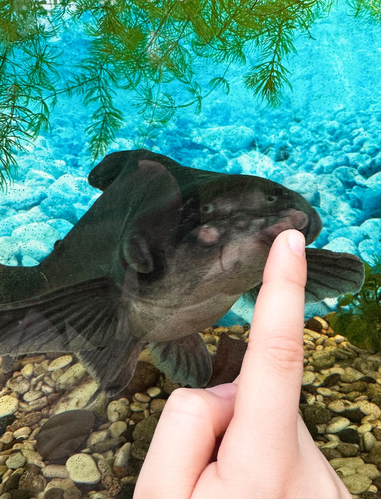 10-1320-1728@ColumnLarge (4)