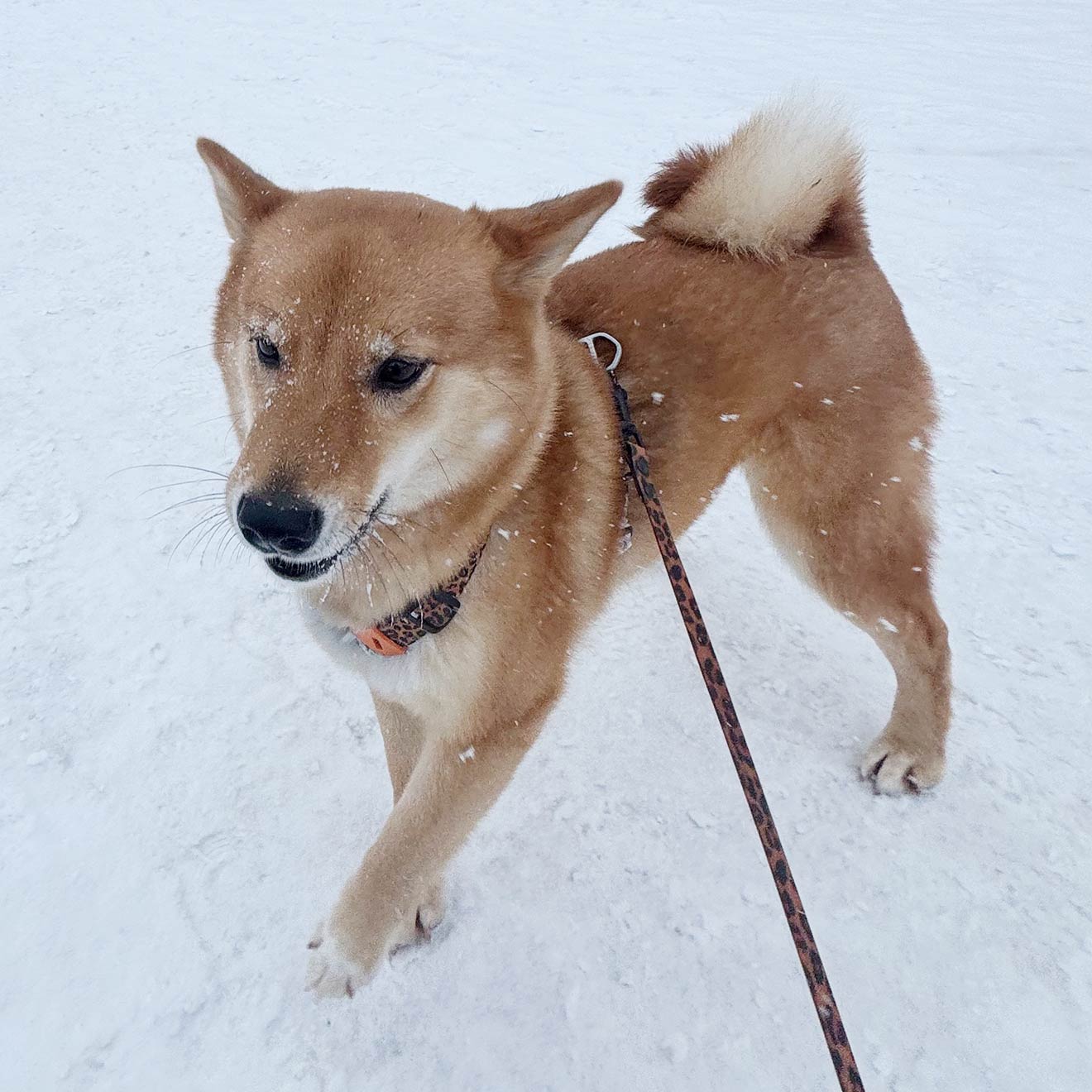 04-1320-1320@ColumnLarge