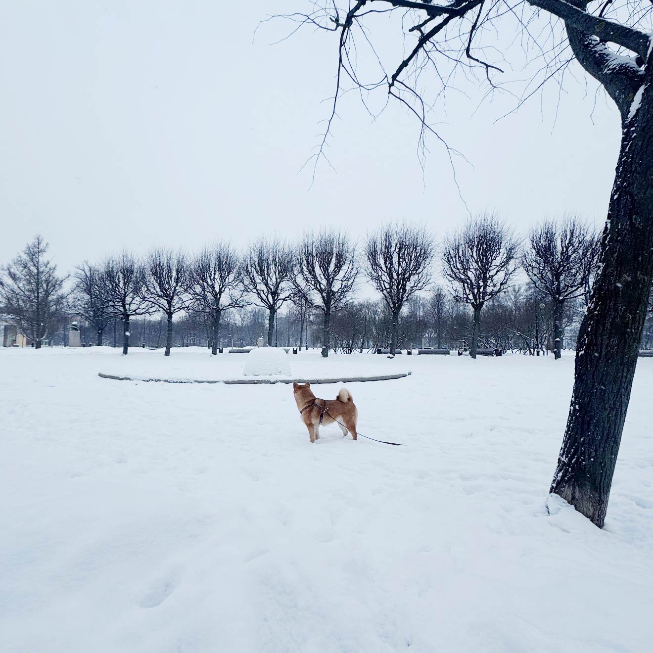 05-1320-1320@ColumnLarge (1)