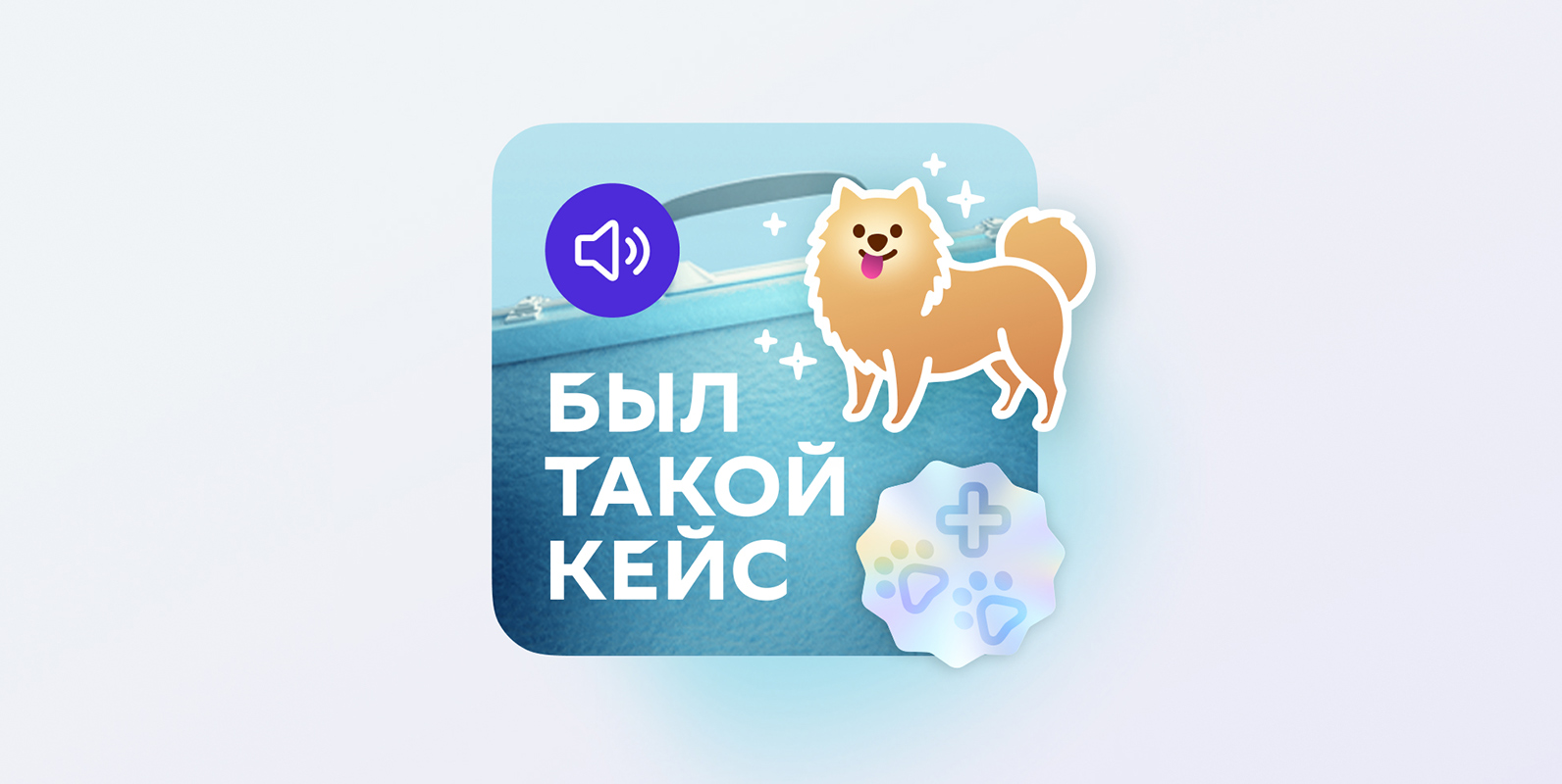 Милый малый бизнес: как заработать на заботе о питомцах