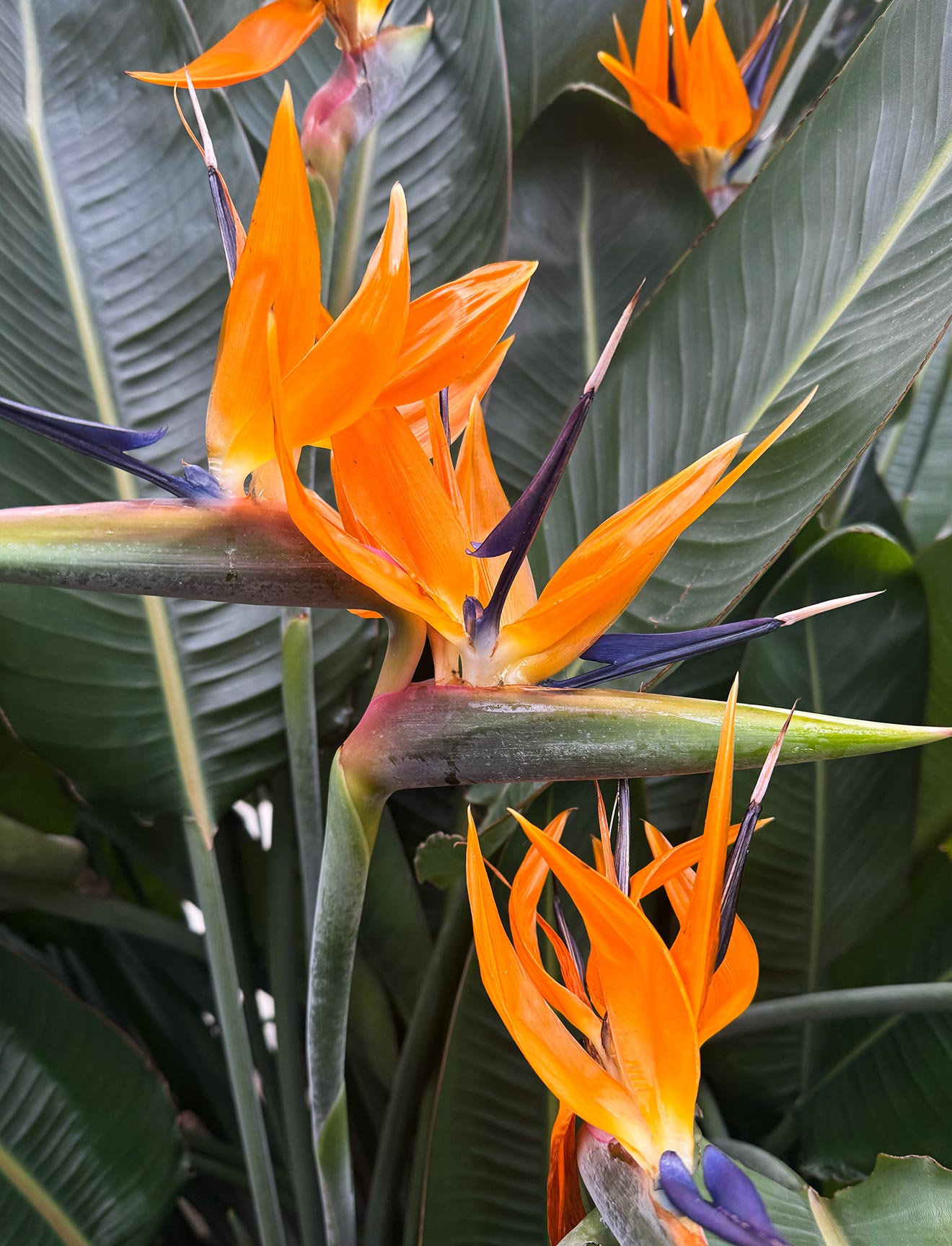 11-1320-1728@ColumnLarge (3)