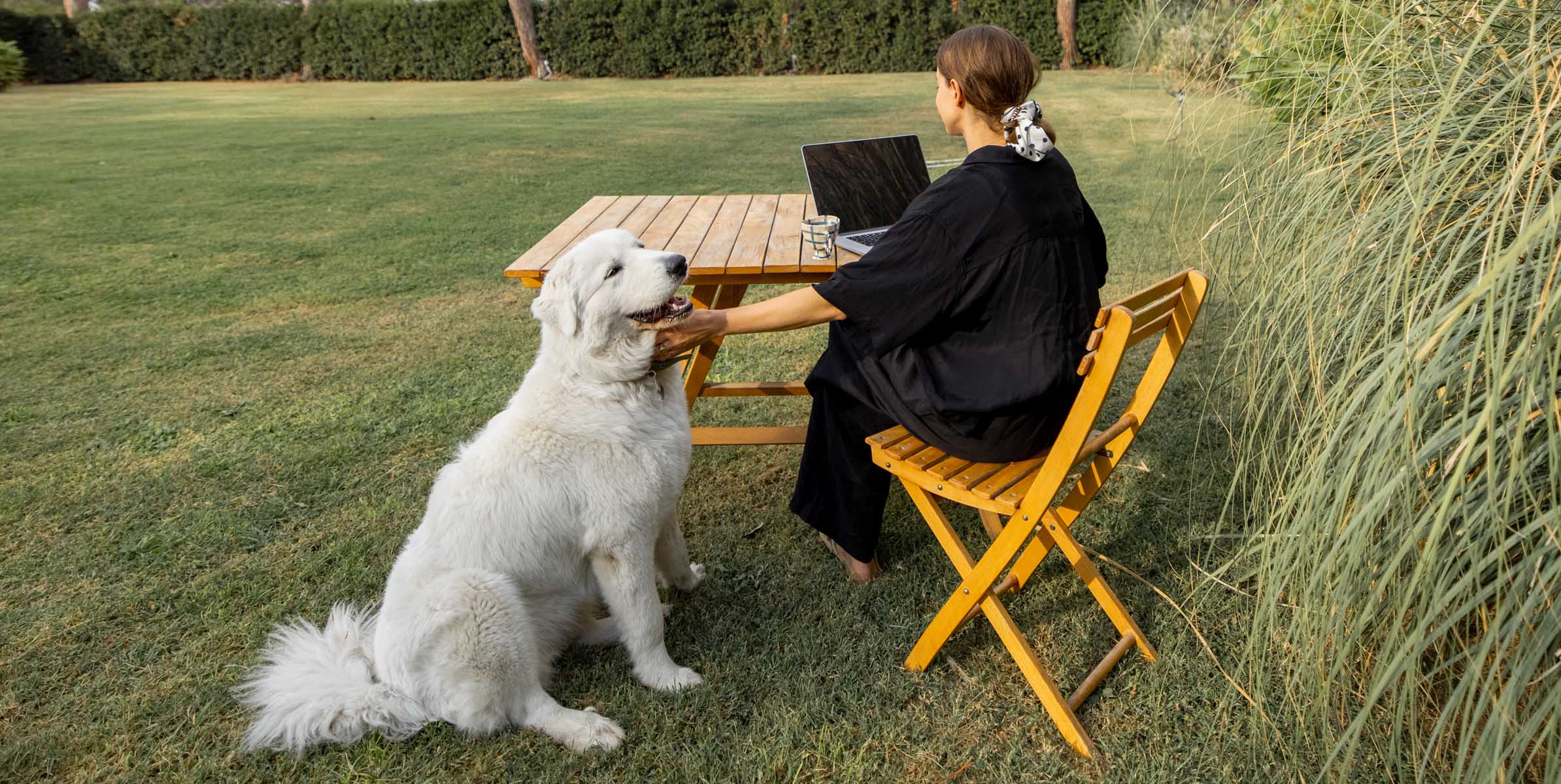 Удаленная работа: плюсы, минусы и особенности формата