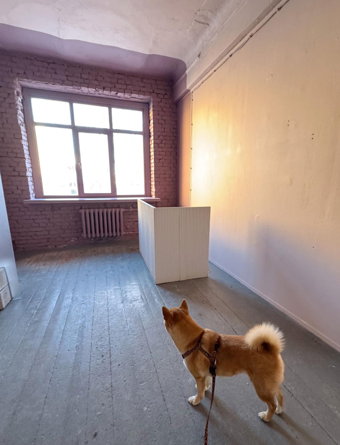 15-1320-1728@ColumnLarge